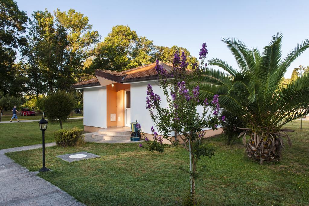 Htp Velika Plaza Ulcinj Hotell Rom bilde