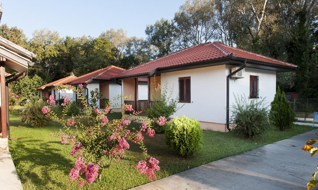 Htp Velika Plaza Ulcinj Hotell Rom bilde