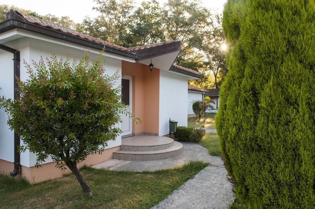 Htp Velika Plaza Ulcinj Hotell Rom bilde